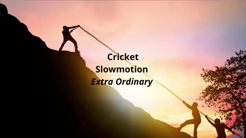 Cricket Slowmotion Extra Ordinary