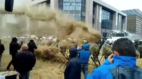 Welcome to the farmer's rebellion in the Netherlands