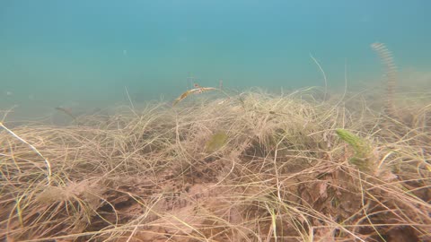 Aquatic Scuba Adventures - Sheridan Wyoming. Dive #7