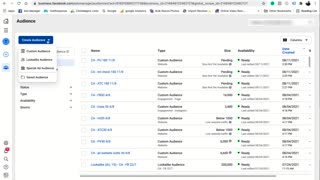 How To Generate Income Online Using Facebook Ads | Video #13 Different Types Of Custom Audiences