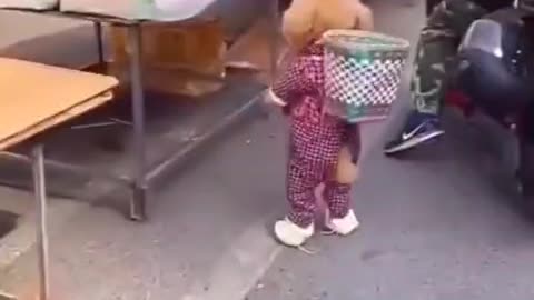 Smart puppy walking to market buy fruits#🍓