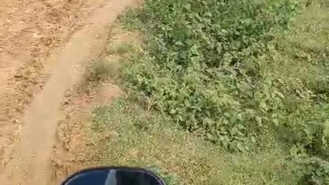 Traveling with Motorcycle in a Rough Road