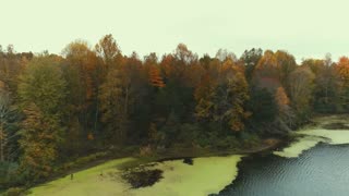 The colors of fall - in Florida Via DJI drone