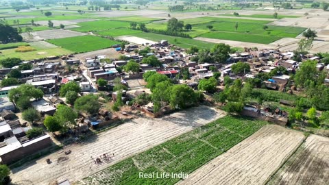 Very Beautiful Village Life In India Uttar Pradesh | Real Village Life UP | Indian Farmer LifeStyle