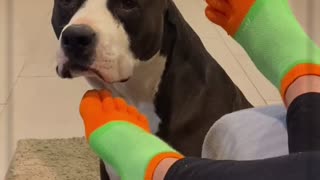 When He wants his footsies from his mommy