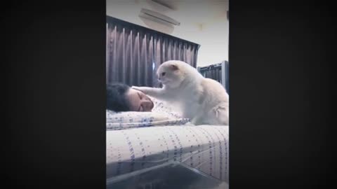 😎Funny singing dog and cute cat!!! 😂🤣🤣