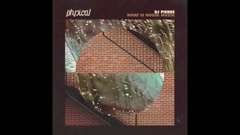 DJ Pierre - What Is House Muzik (Ricardo Villalobos What Is Remix)