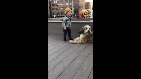 Toddler meets a puppy for first time due to pandemic