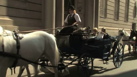 Horse and Carriage Vienna