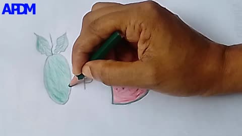 How to draw watermelon step by step __ Simple Pencil Drawing