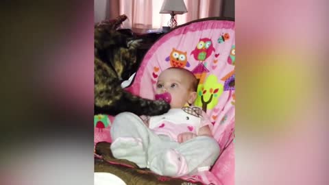 Conflict between the cat and the child on the pacifier