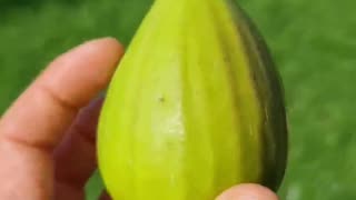 The First Fig