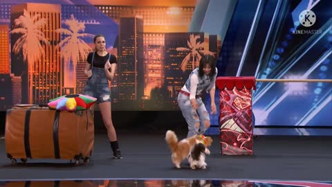 The savitsky cats: super traineds cats !perform exciting routine -America`s got talent 2022