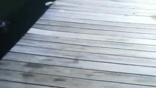 Car Nearly Drives Off Pier