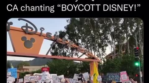 Boycott Disney