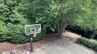 Son Makes Spectacular Shot with Frisbee