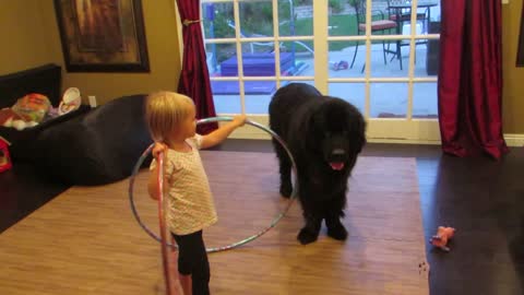 Determined Girl Tries To Teach Her Big Black Pooch To Hula Hoop