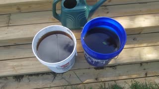 How to Fertilize Your Garden Soil With Molasses For Healthier, More Productive Plants & Why It Works