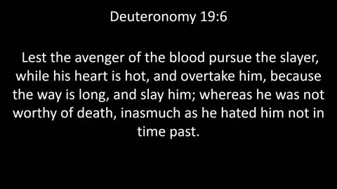 KJV Bible Deuteronomy Chapter 19