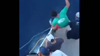 shark attacks a tuna 😱😱😱