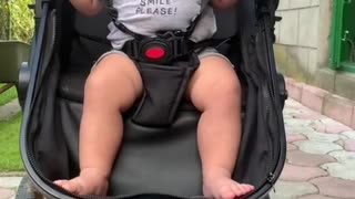 Kitty Plays With Baby in Stroller