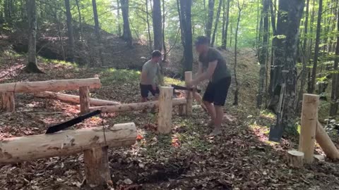 Big house made of logs in the forest