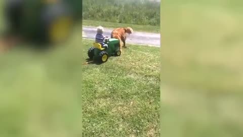 babies shares friendship with their best friend