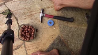HOW TO OPEN A MACADAMIA NUT (WITHOUT SMASHING IT) - Sept 17th 2016