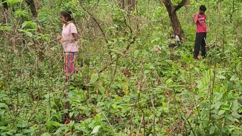 Mushroom hunting at jungle #jungle #mushroom #Arya