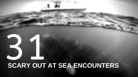 31 SCARY ENCOUNTERS OUT AT SEA (Military, Paranormal, Unexplained) - What Lurks Beneath