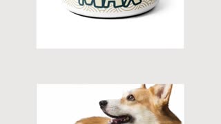 Personalized Pet Bowl for the Holidays