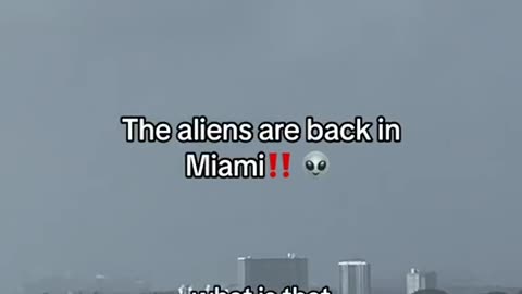 Meanwhile in Miami