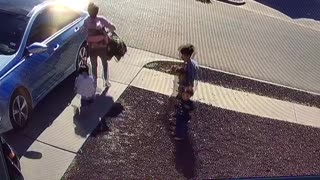 Toddler Taken Out by Car Door