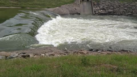 A white bird looking for fish along a swollen Trinity River