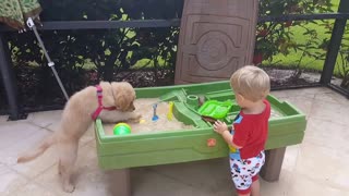 This Toddler Loves Sharing The Sandbox With His Lab Puppy