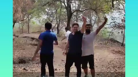 Viral video Of Forest teak
