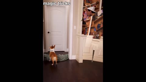 Magic tricks video