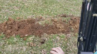 3-Year-Old Runs an Excavator