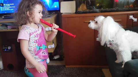 Howling Dog Sings Along To Little Girl's Performance