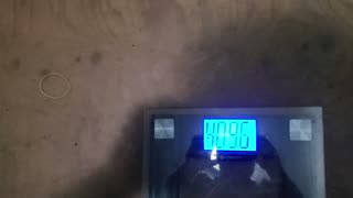 Weigh-In Oct 31, 2023