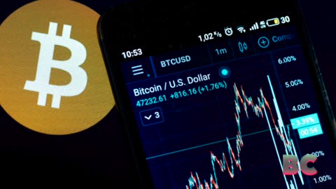 Bitcoin plunged 28%. Institutional investors bought the dip