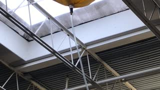 Mall Directs Leaking Roof to Water Plant