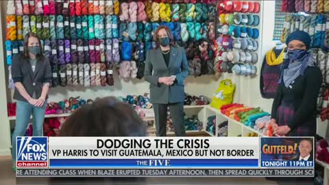 Dana Perino on Kamala Harris crocheting