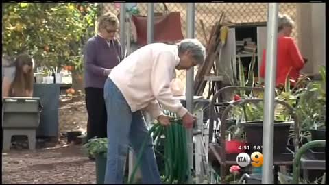 Lack Of Volunteers Prompts Cancellation Of 101-Year-Old Redlands Flower Show