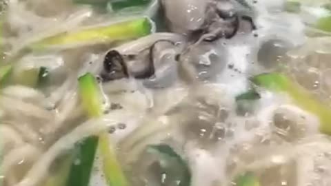 boiling korea noodle soup with oyster
