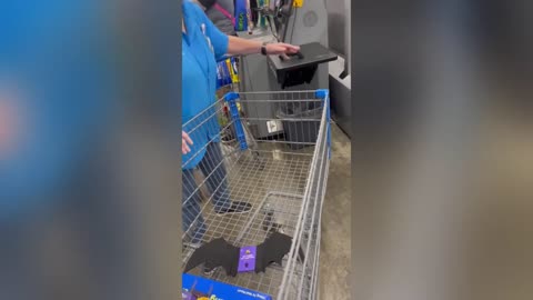 Meltdown at Walmart. Literal REEEEeeeee!