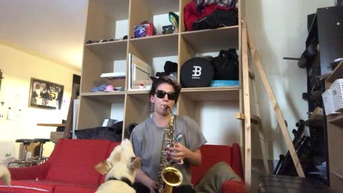 Dog hilariously howls along to owner's band practice