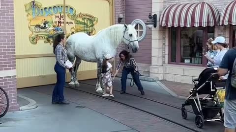 You wouldn't believe what this line is for at Disneylandu