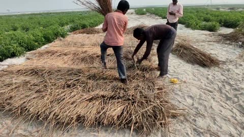 Real Life village poor people of the in India uttar Pradesh Man and wooman Daily working Lifestyle