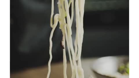 Ramen Noodles Budget